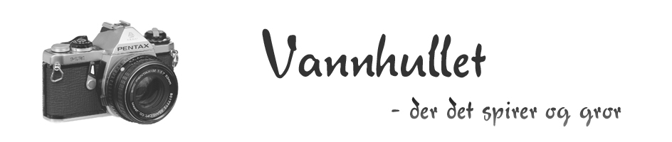 vannhullet